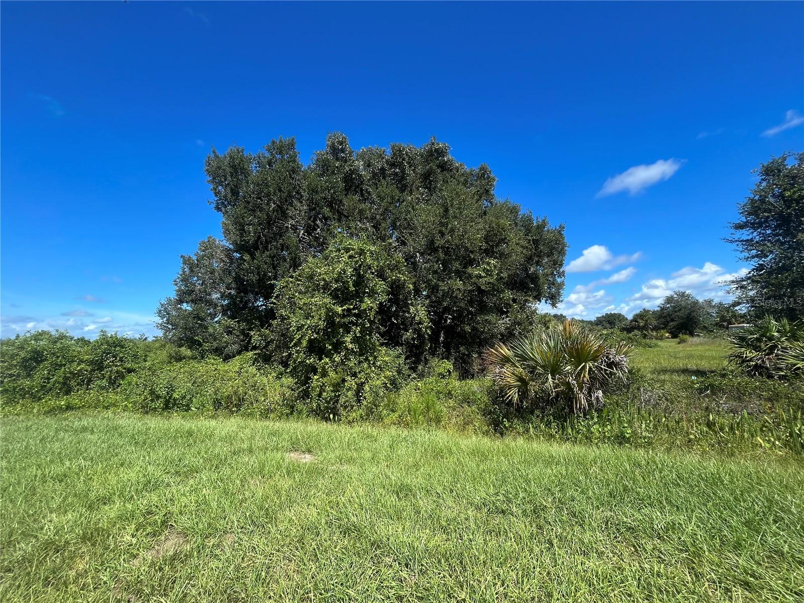 Details for 18391 298th Street, OKEECHOBEE, FL 34972