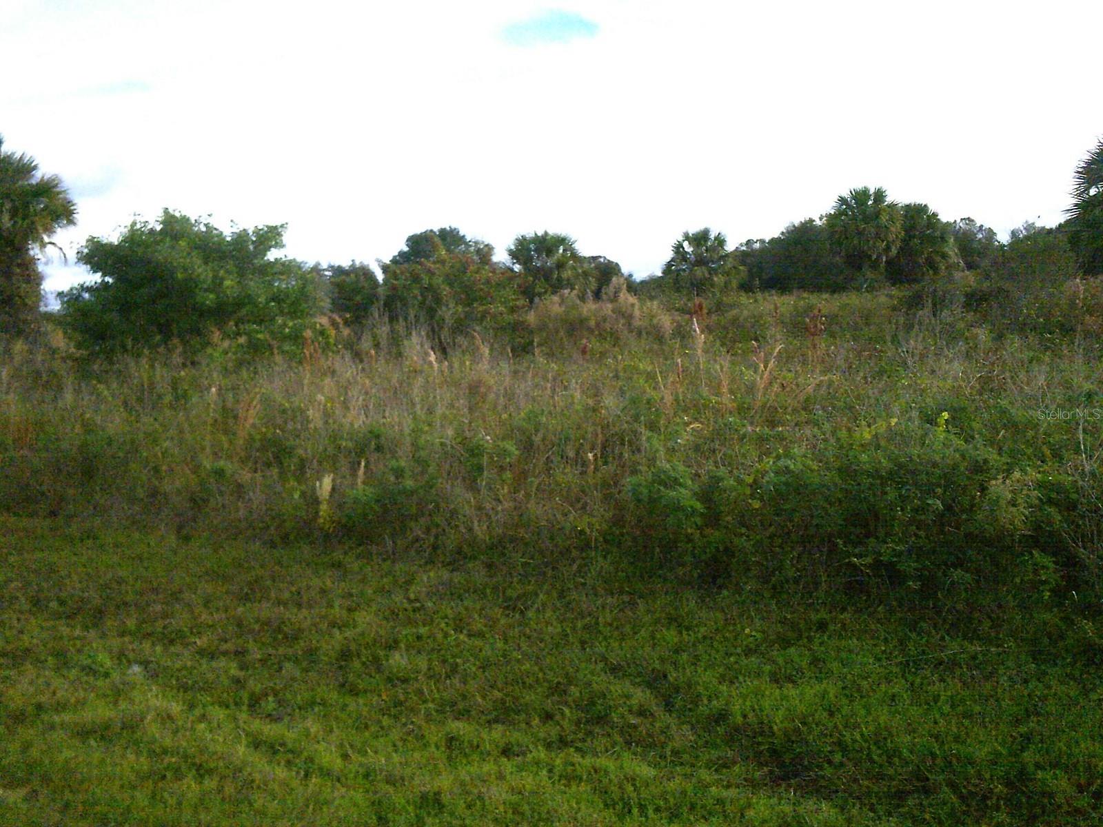Image 4 of 9 For 16781 242nd Street