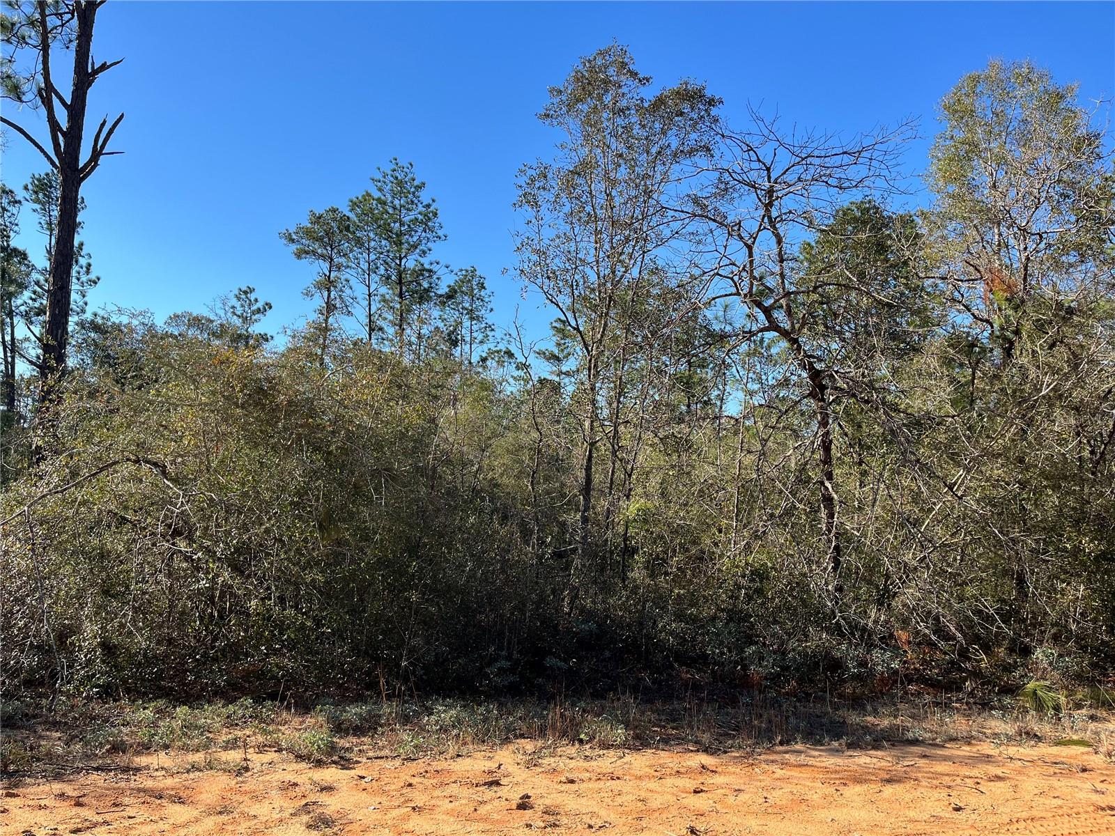 Details for Apalachicola Avenue, ALFORD, FL 32420