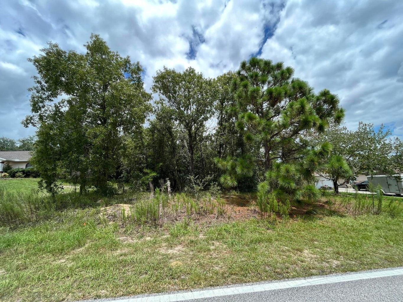 Details for 1455 Hartford Street, INVERNESS, FL 34453