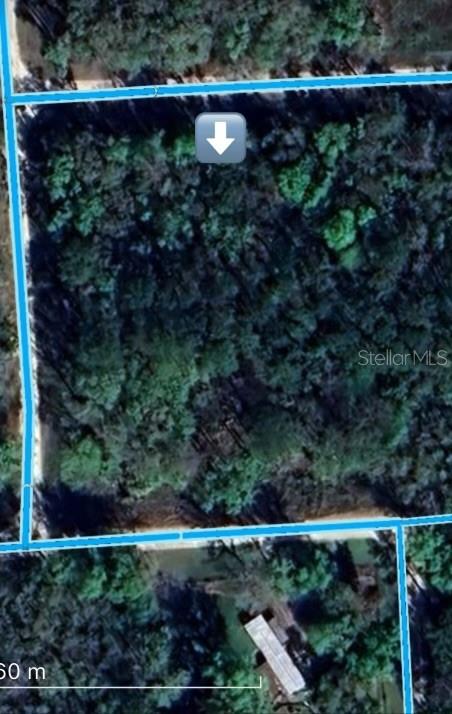 Listing Details for Sw 12th Avenue, DUNNELLON, FL 34431