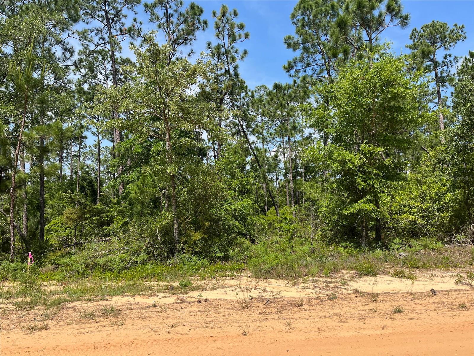 Details for Holly Springs Avenue, ALFORD, FL 32420