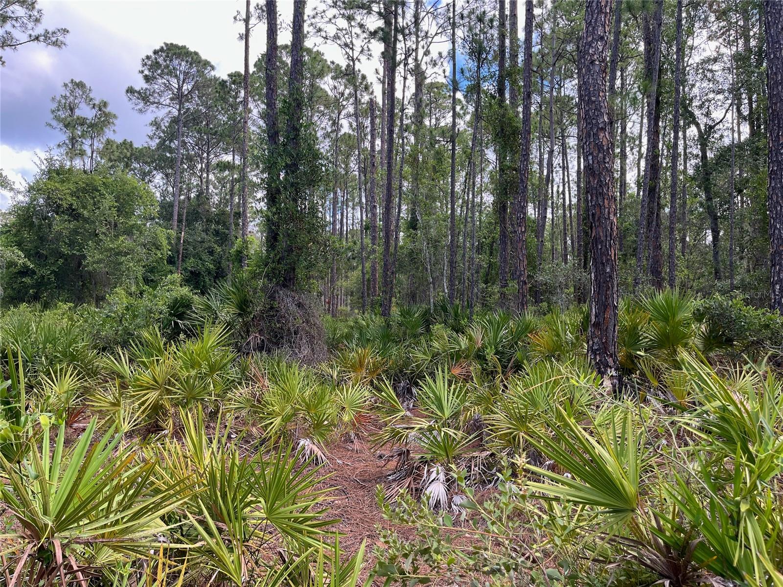 Details for 222 Marie Avenue, GEORGETOWN, FL 32139
