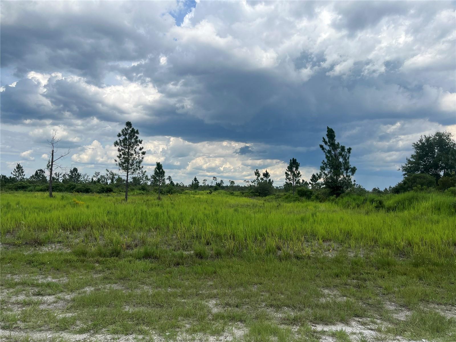 Details for Pinnata Drive, INDIAN LAKE ESTATES, FL 33855