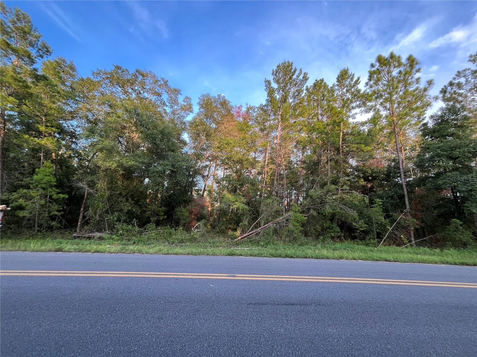 Details for 0 Twin Lakes Road, INTERLACHEN, FL 32148