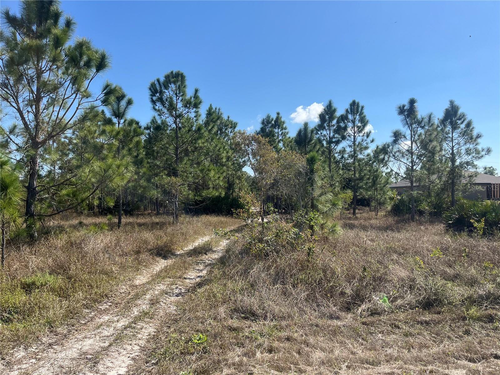 Image 4 of 8 For 1247 Brunell Avenue