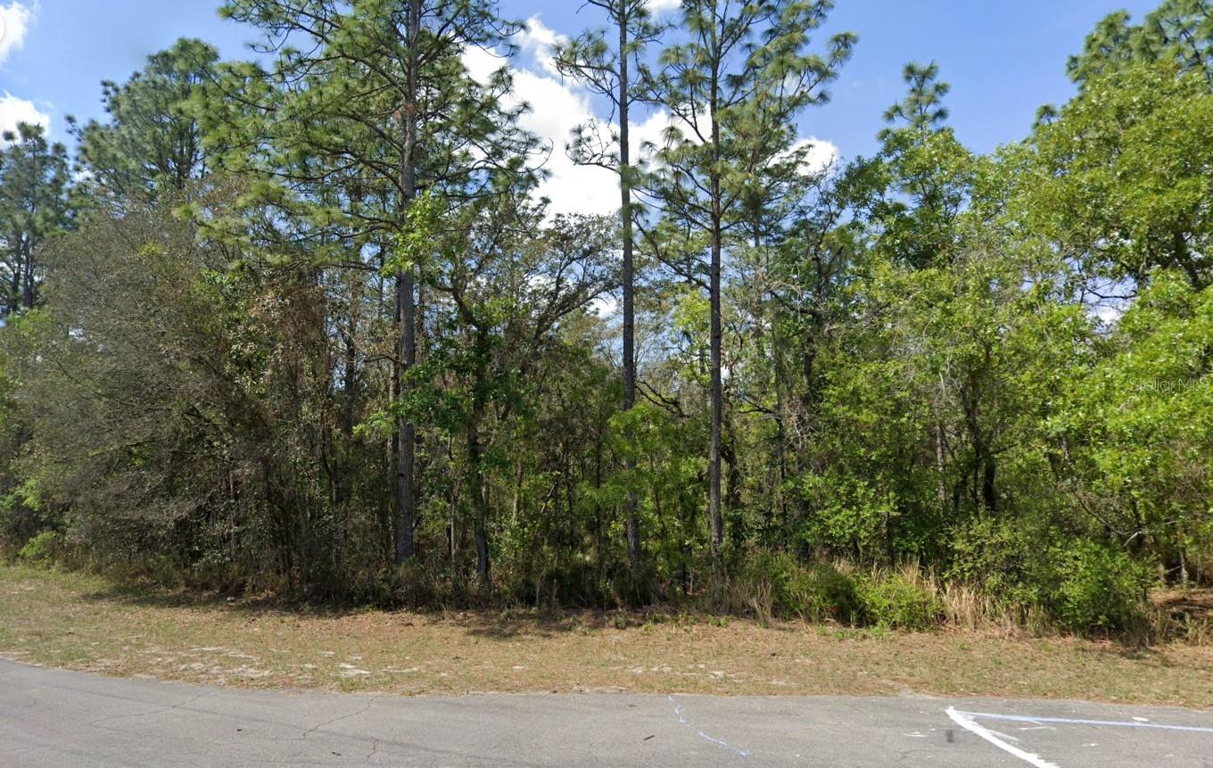 Details for  151st Loop , DUNNELLON, FL 34432