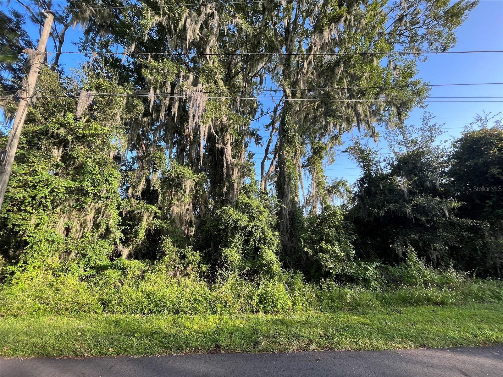 Image 2 of 6 For 262 Toms Road