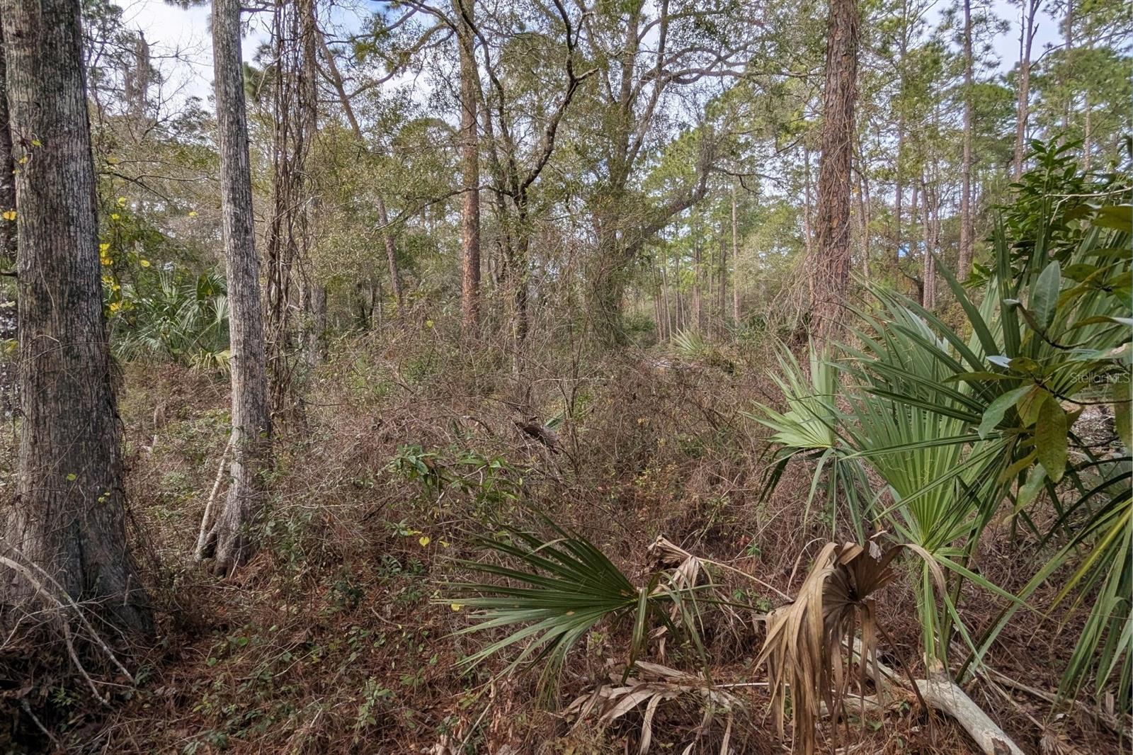 Image 6 of 7 For 9076 Evenstock Way