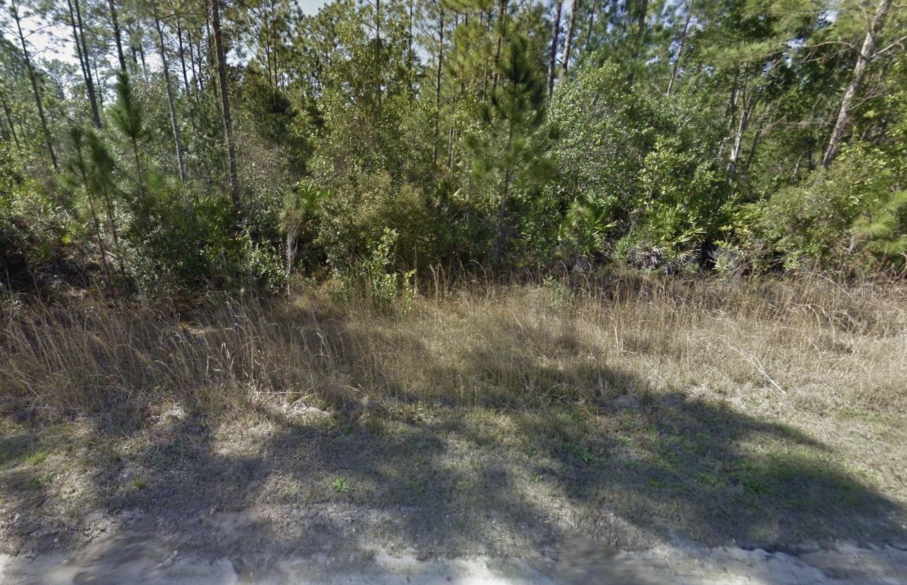 Details for 215 Royal Avenue, INTERLACHEN, FL 32148