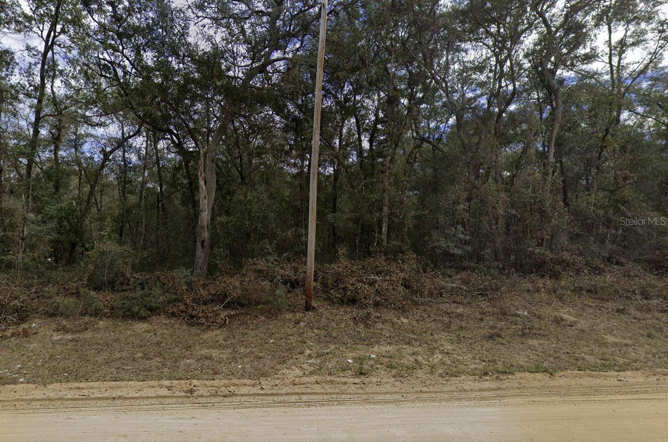 Details for  Walker  , INTERLACHEN, FL 32148