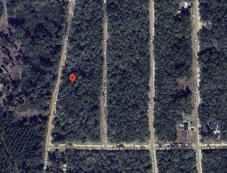 Image 8 of 10 For  Walker  