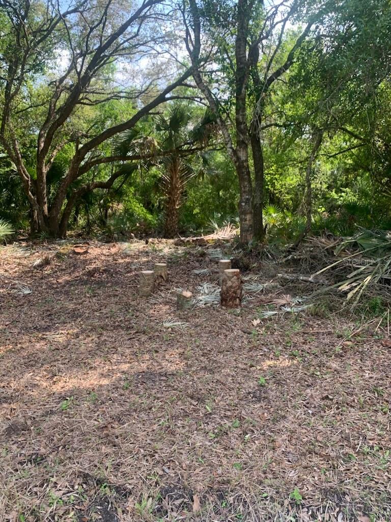 Image 6 of 17 For 17774 254th Street
