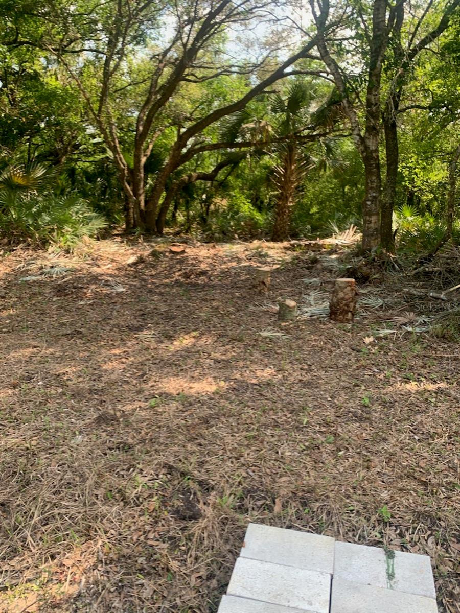 Image 8 of 17 For 17774 254th Street