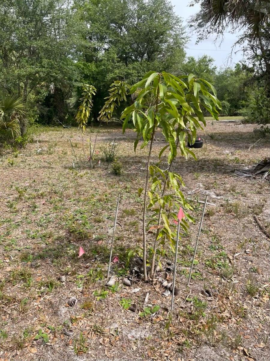 Image 8 of 15 For 17486 276th Street