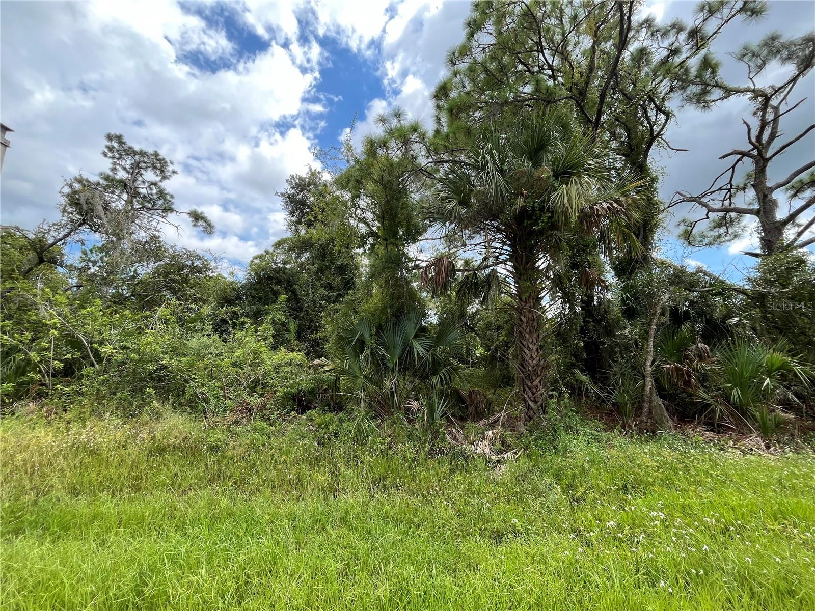 Details for 15501 Whitehall Avenue, PORT CHARLOTTE, FL 33953