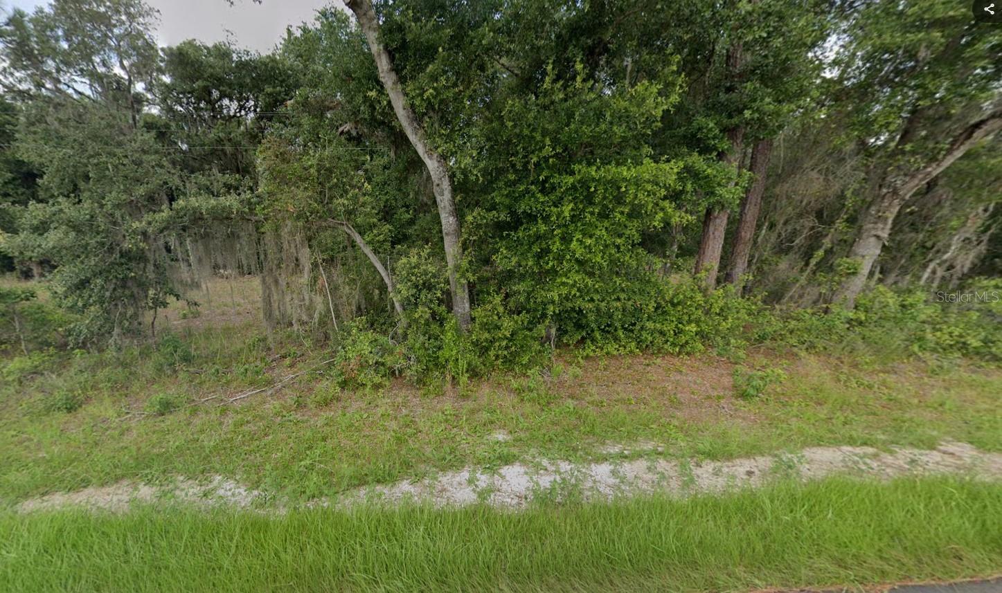 Details for Tbd 49th Street, OCKLAWAHA, FL 32179