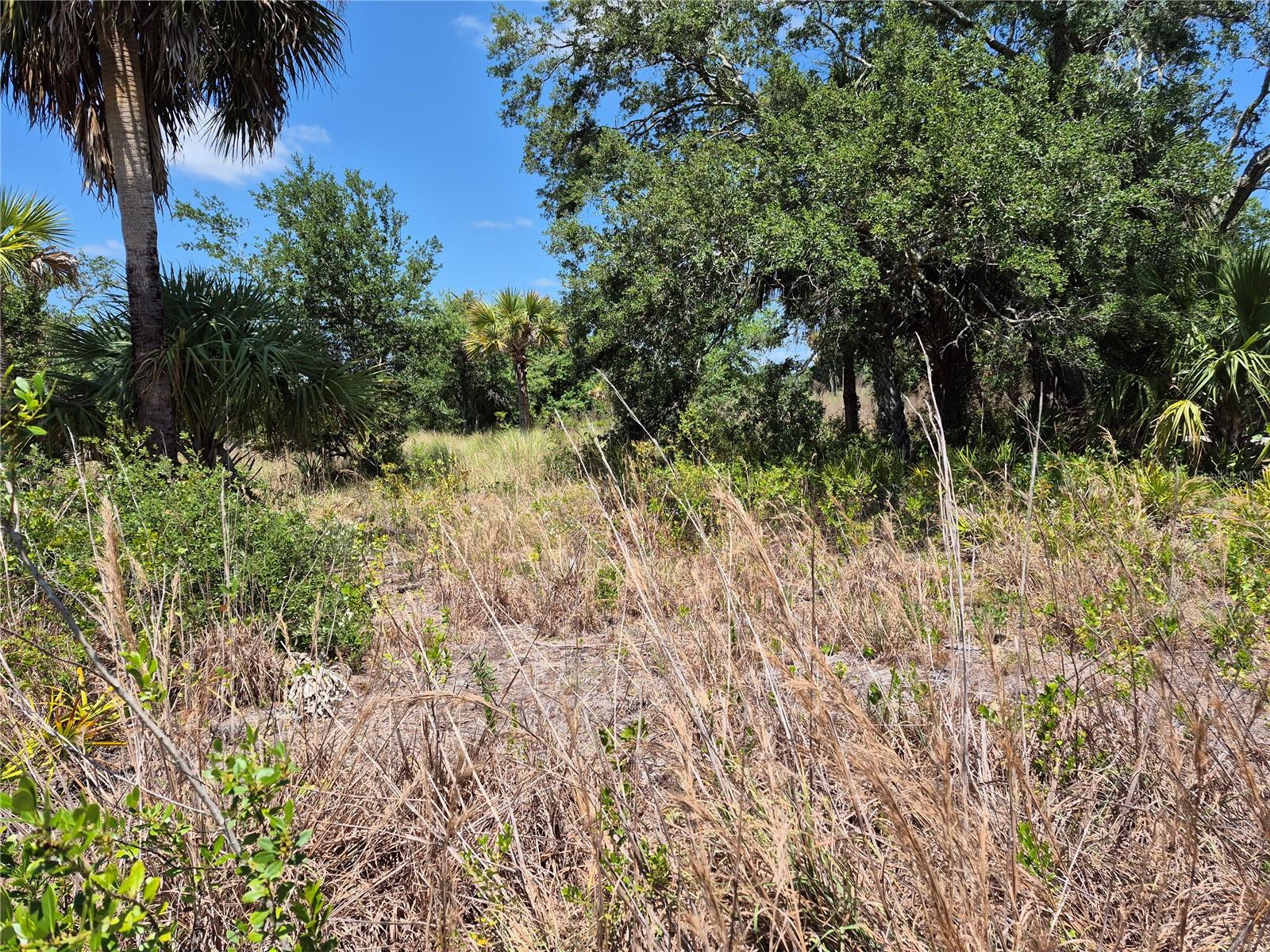Details for 17763 310th Street, OKEECHOBEE, FL 34972