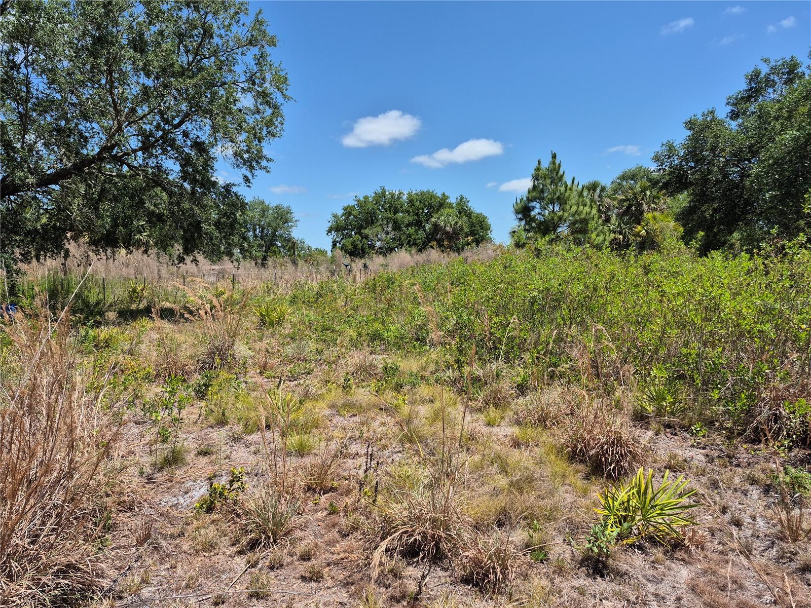 Image 10 of 12 For 17763 310th Street