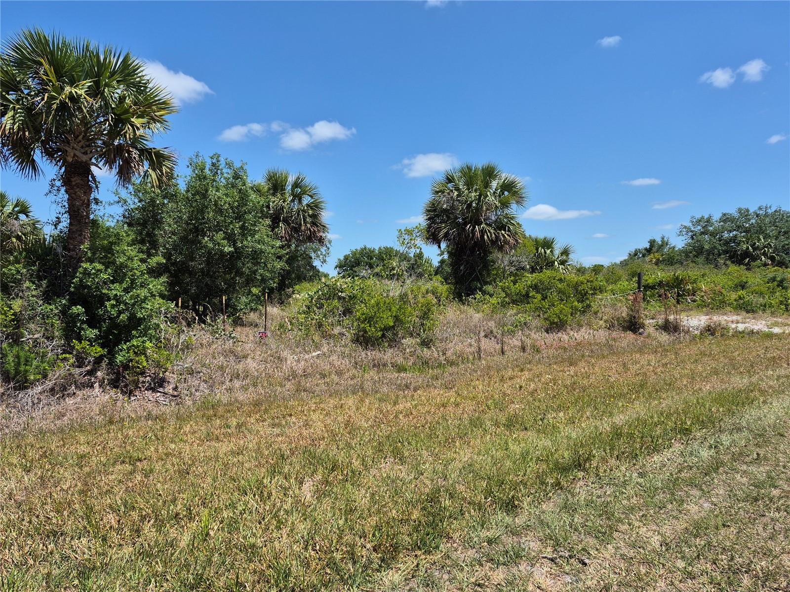 Image 3 of 12 For 17763 310th Street