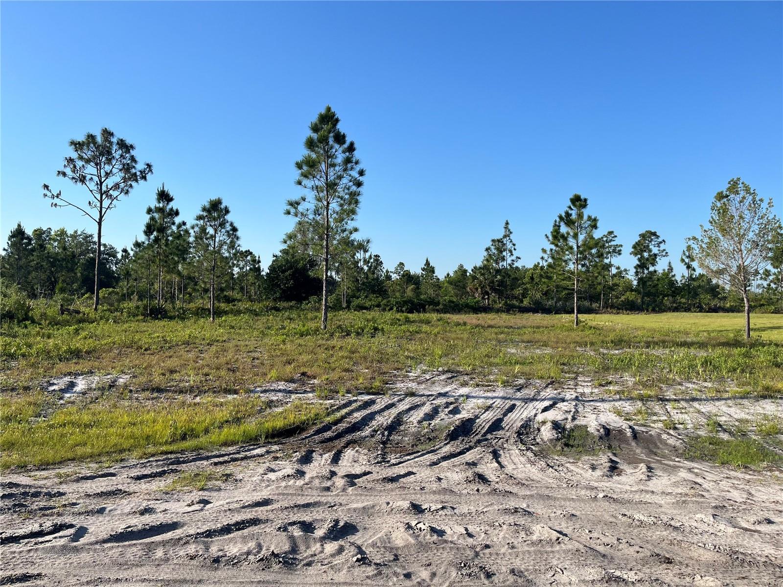 Image 2 of 9 For 1019 Calendula Drive