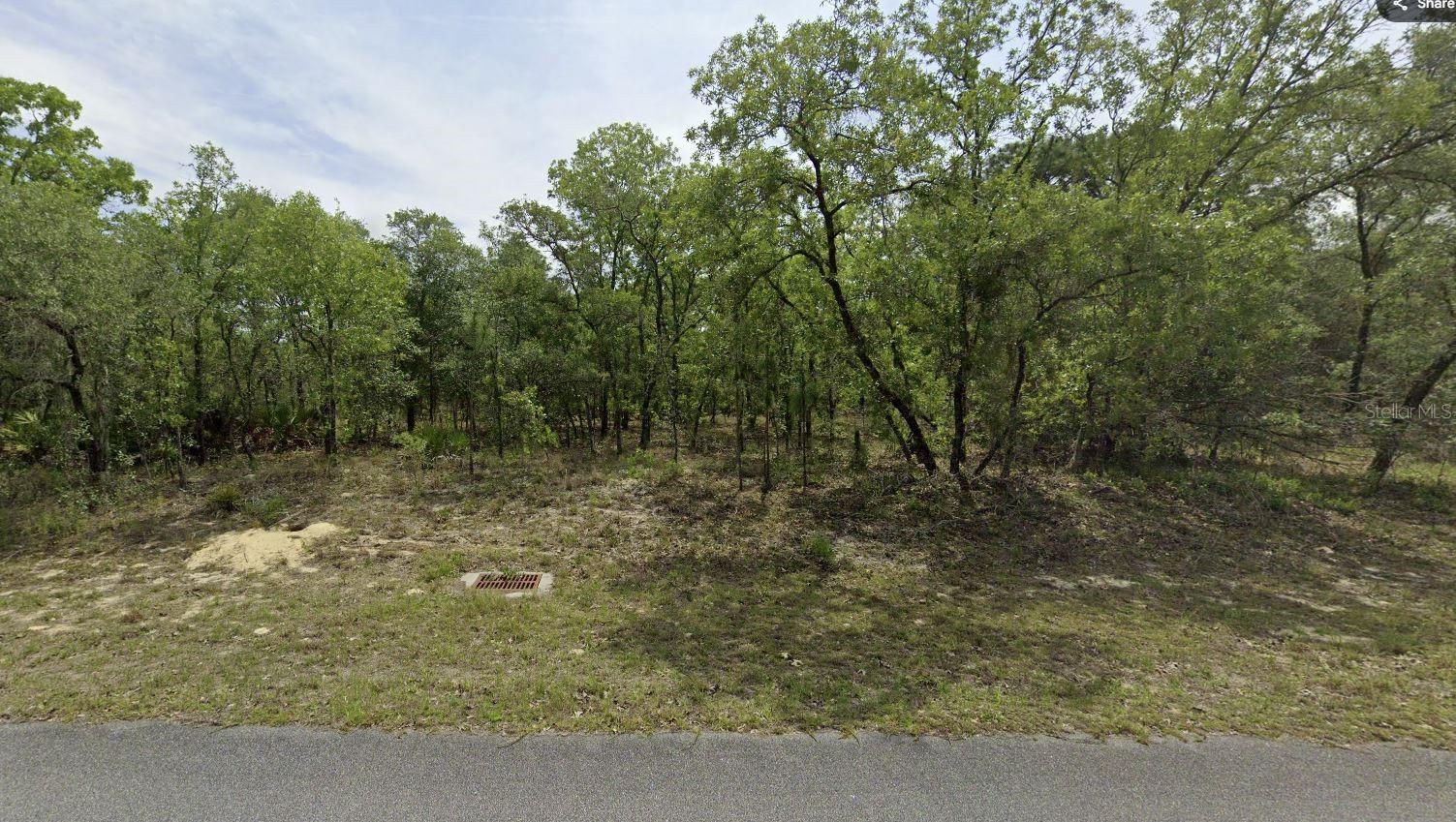 Details for 1321 Delores Drive, DUNNELLON, FL 34434