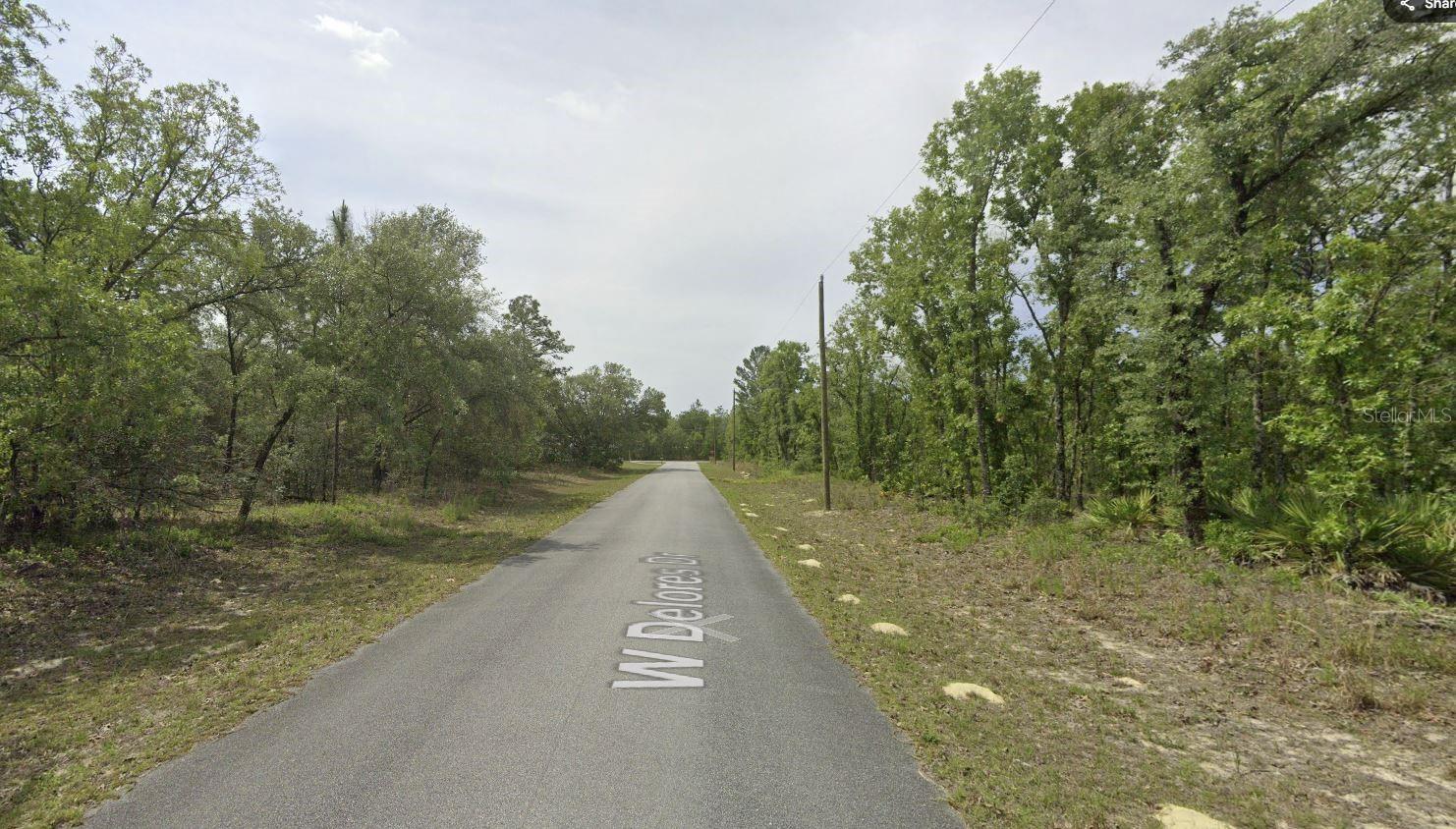Listing photo id 0 for 1321 Delores Drive