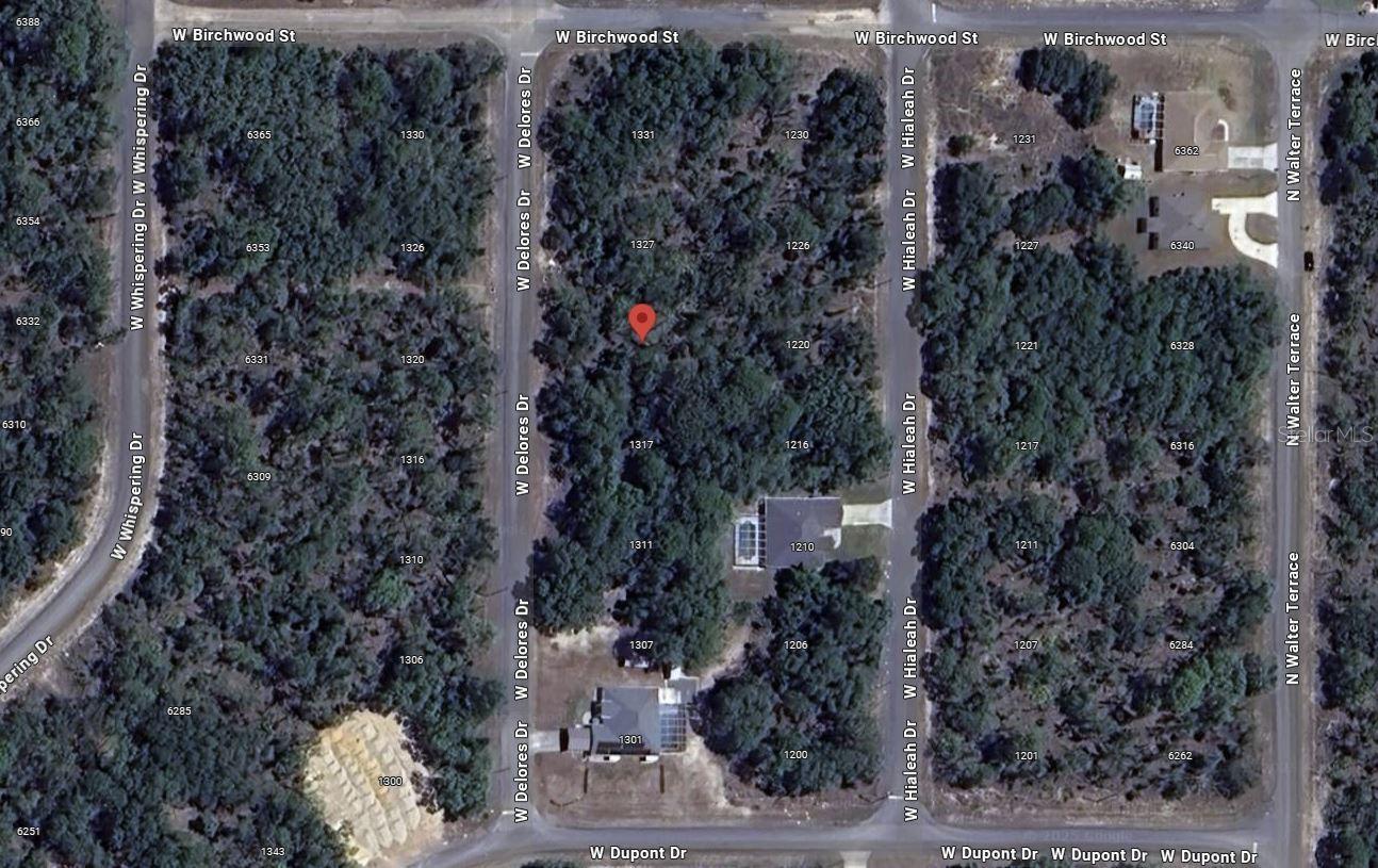 Listing photo id 1 for 1321 Delores Drive