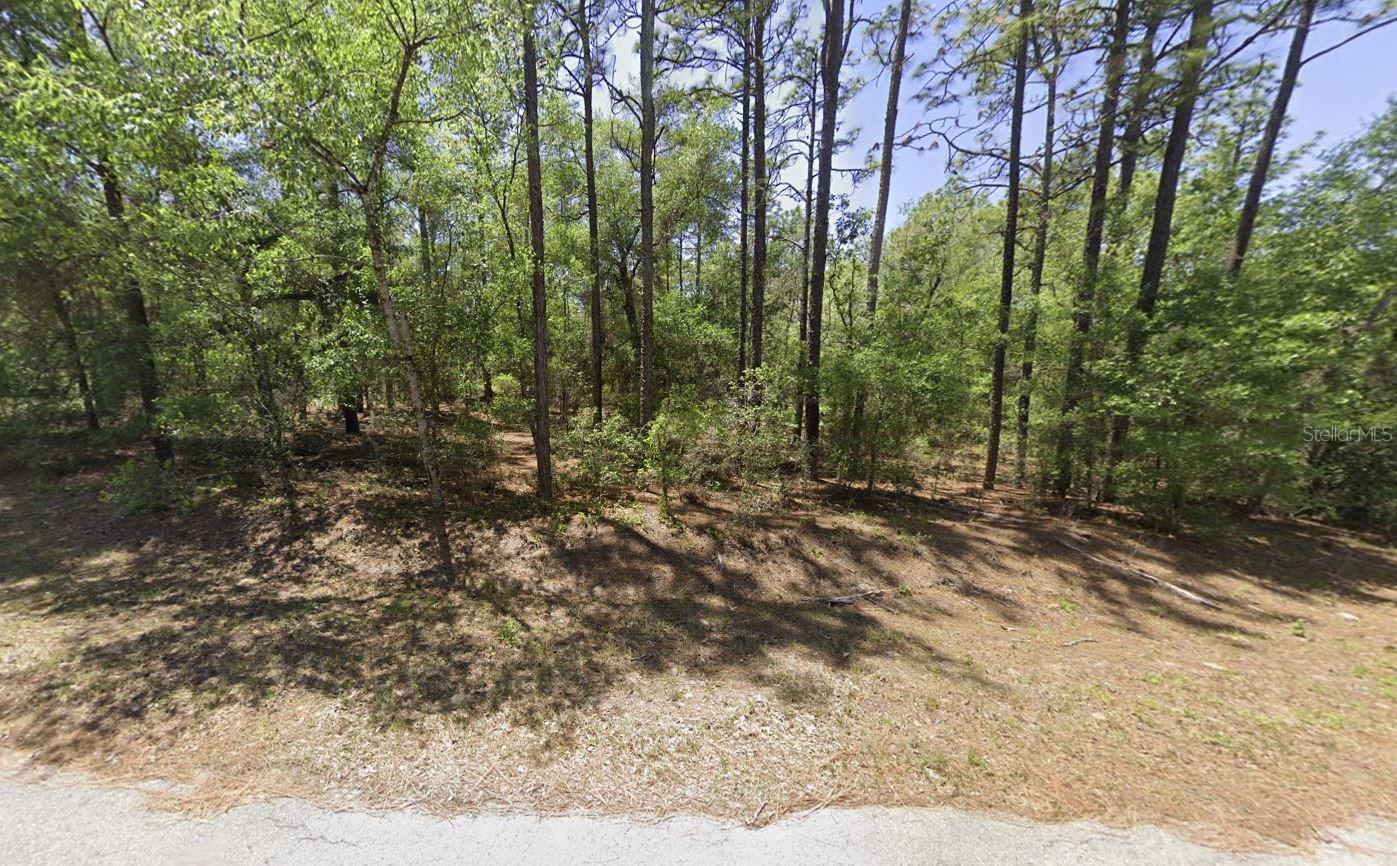 Details for Tbd 201 Circle, DUNNELLON, FL 34431
