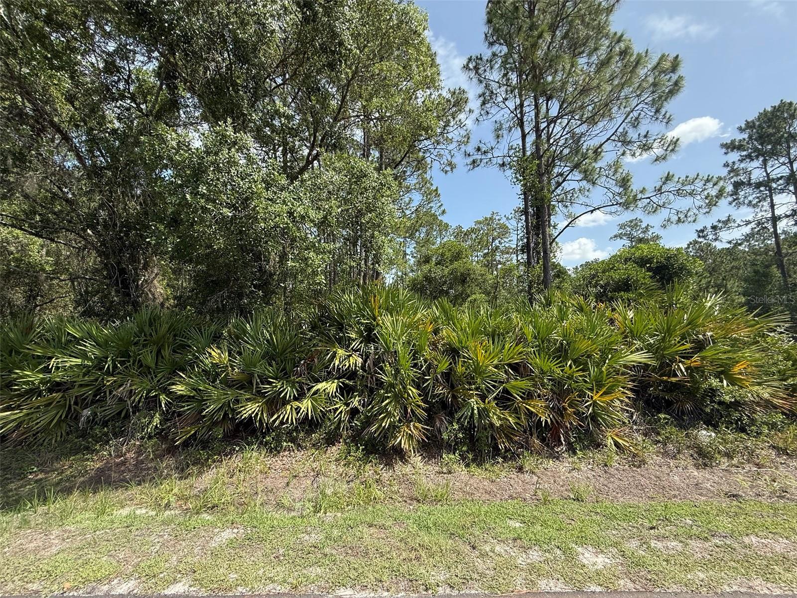 Image 4 of 9 For 174 Millican Road