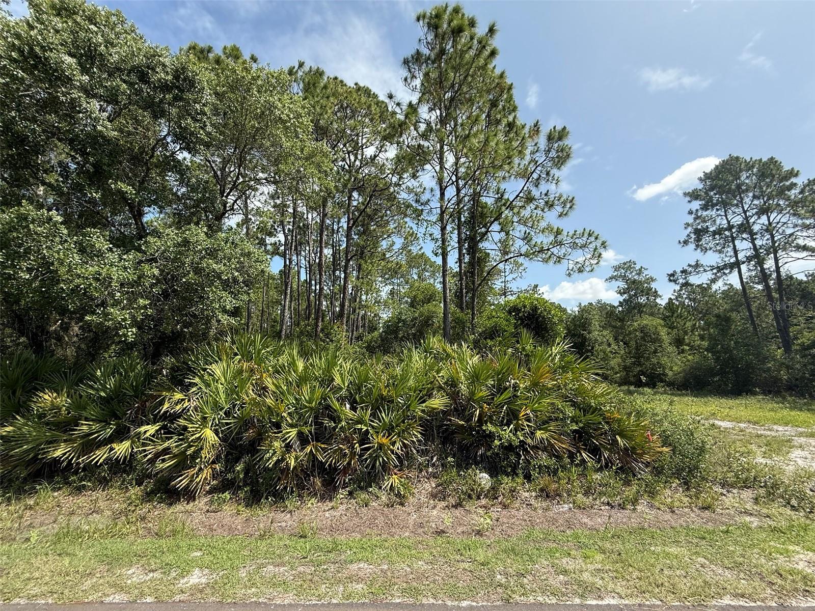 Image 5 of 9 For 174 Millican Road