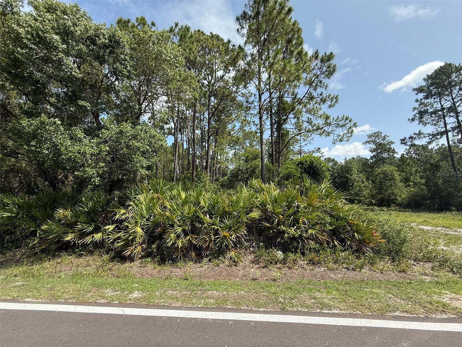 Image 6 of 9 For 174 Millican Road