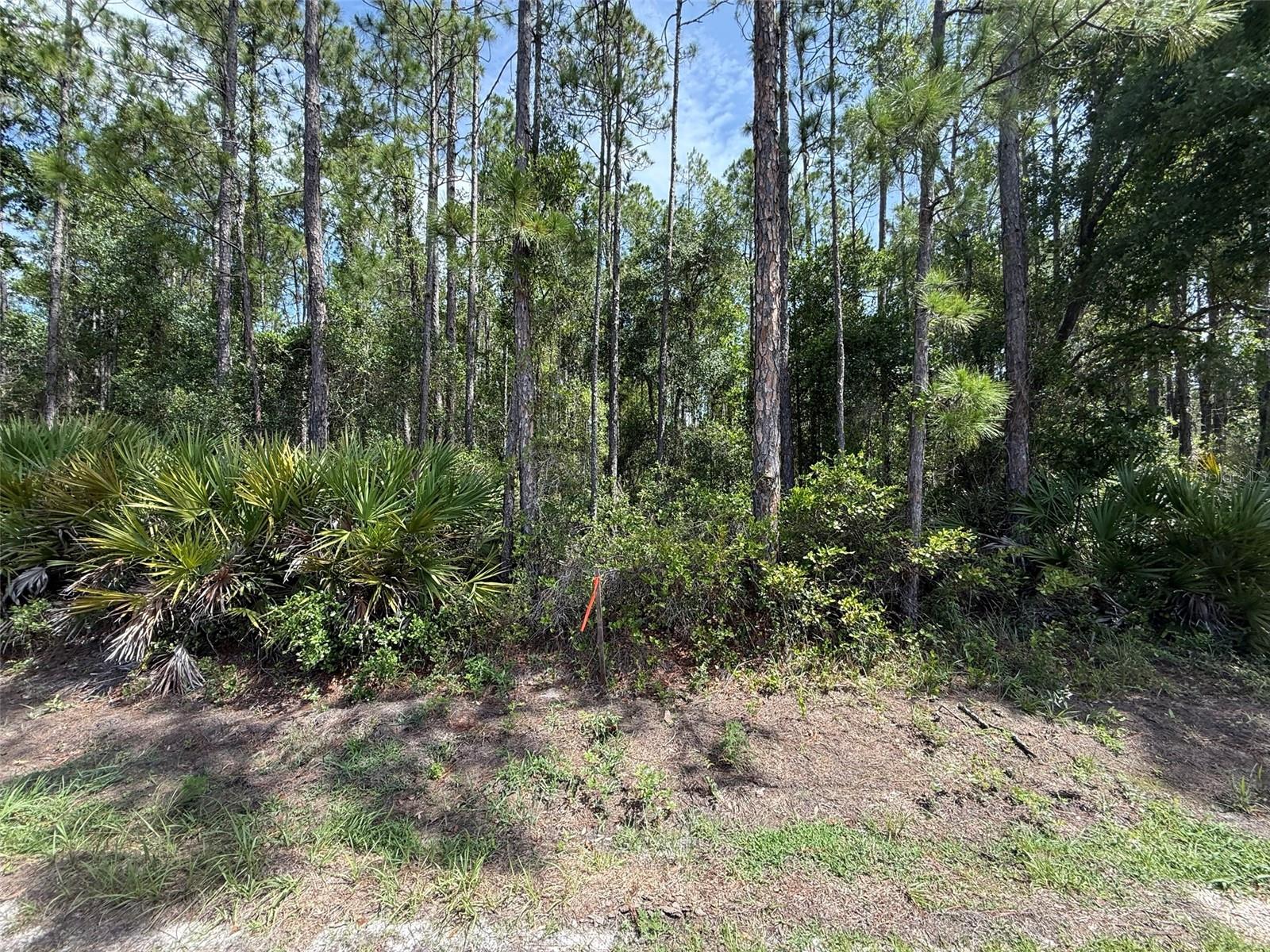 Image 4 of 6 For 178 Millican Road