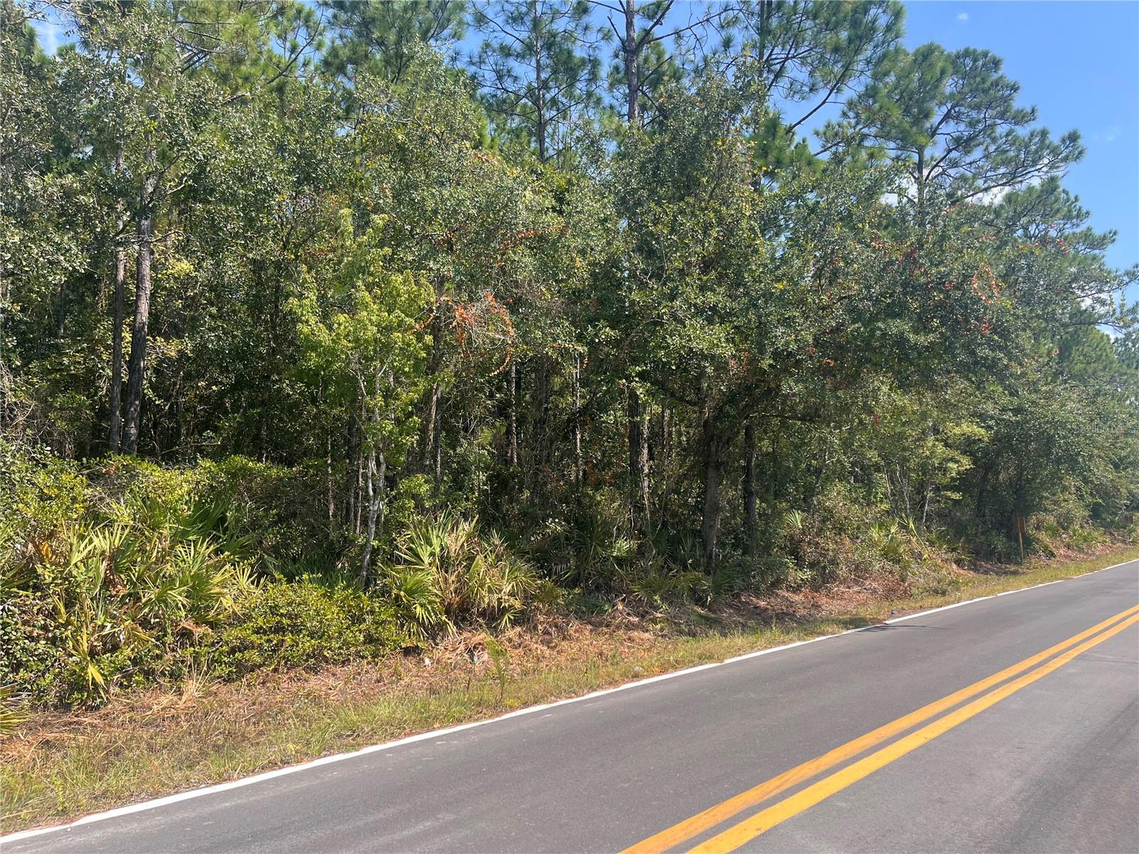 Image 8 of 12 For 182 Millican Road