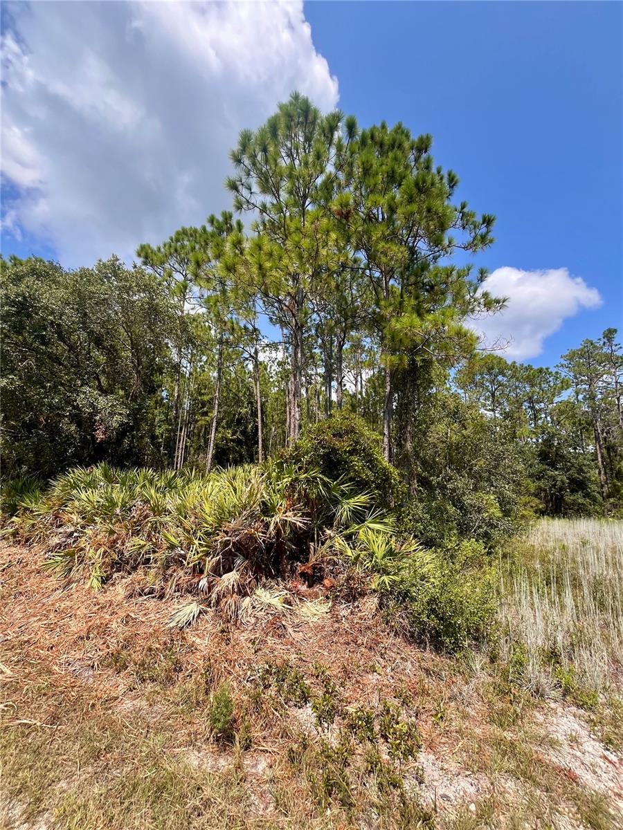 Image 9 of 12 For 182 Millican Road