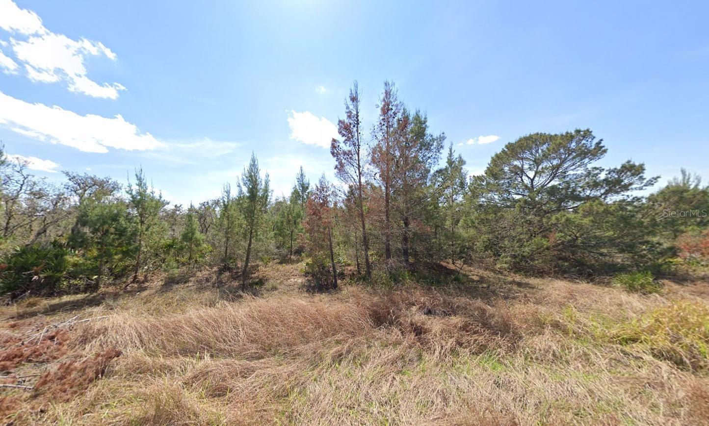 Details for 2921 Seville Drive, AVON PARK, FL 33825
