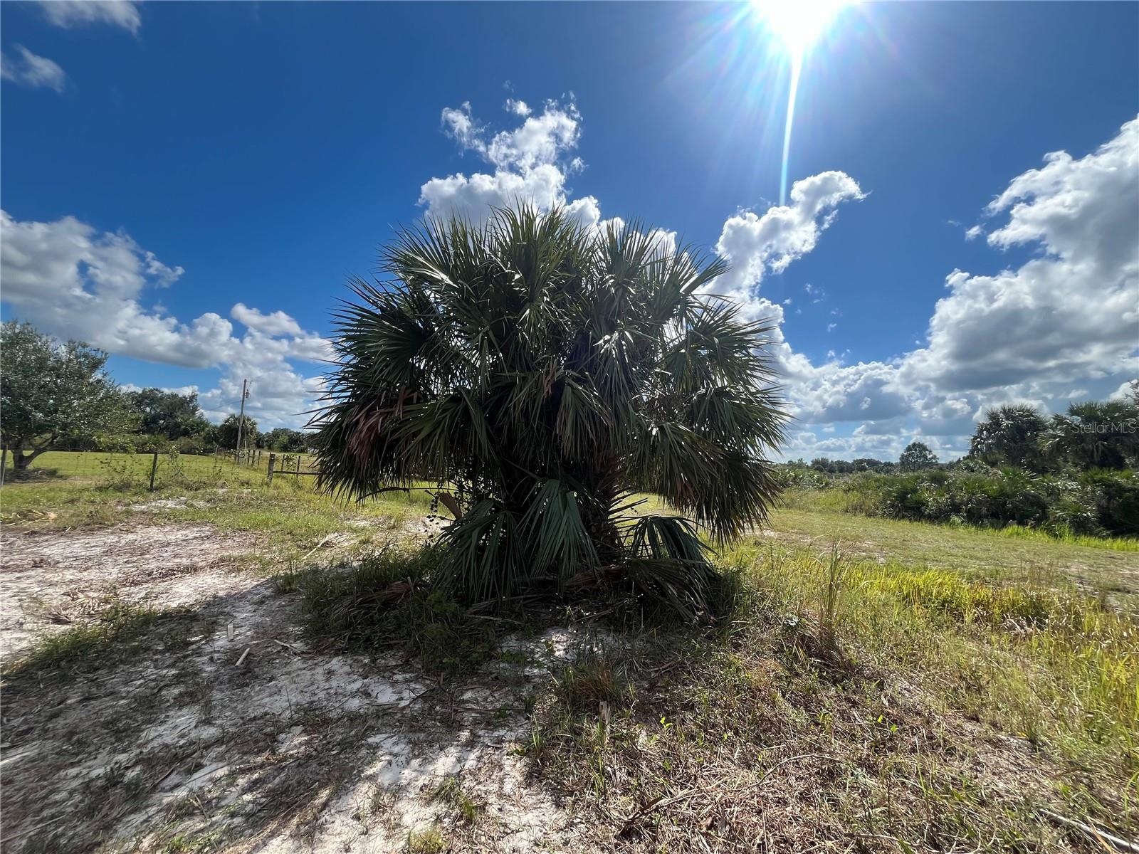 Image 12 of 23 For 15187 278th Street