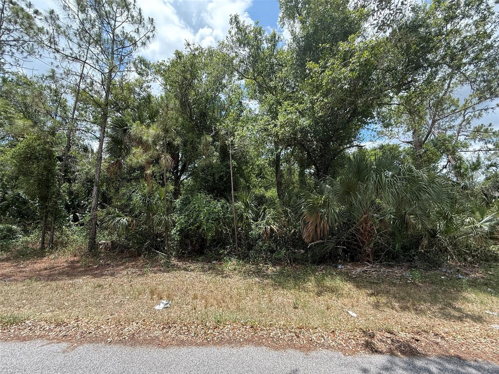 Image 6 of 9 For Scanlon Avenue