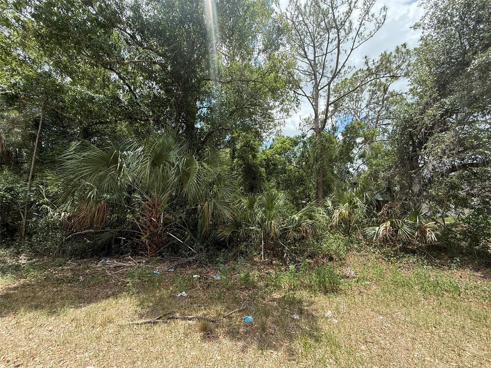 Image 9 of 9 For Scanlon Avenue