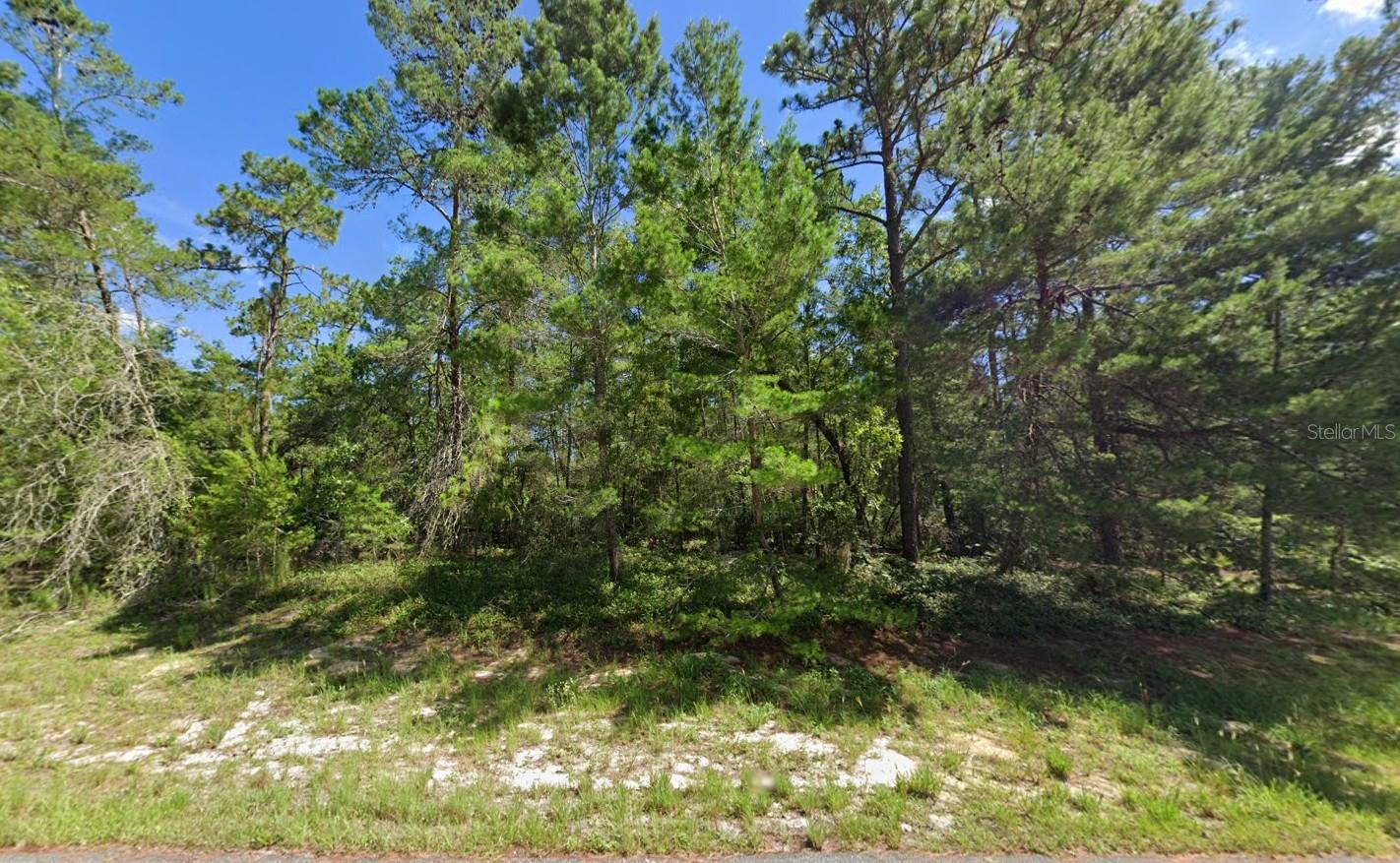 Details for 176th Street, OCALA, FL 34473