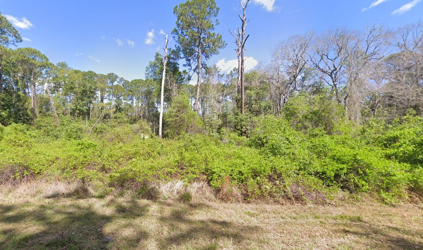 Details for 204 Hazel Avenue, GEORGETOWN, FL 32139