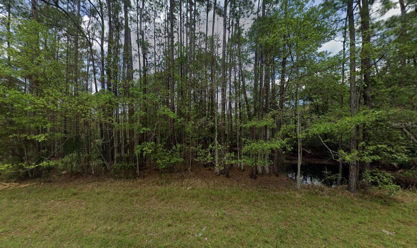 Details for 242 Lakeway Drive, GEORGETOWN, FL 32139