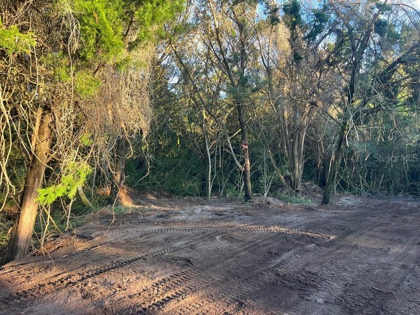 Image 6 of 15 For 4427 Lawrence Road