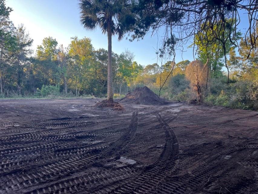 Image 8 of 15 For 4427 Lawrence Road
