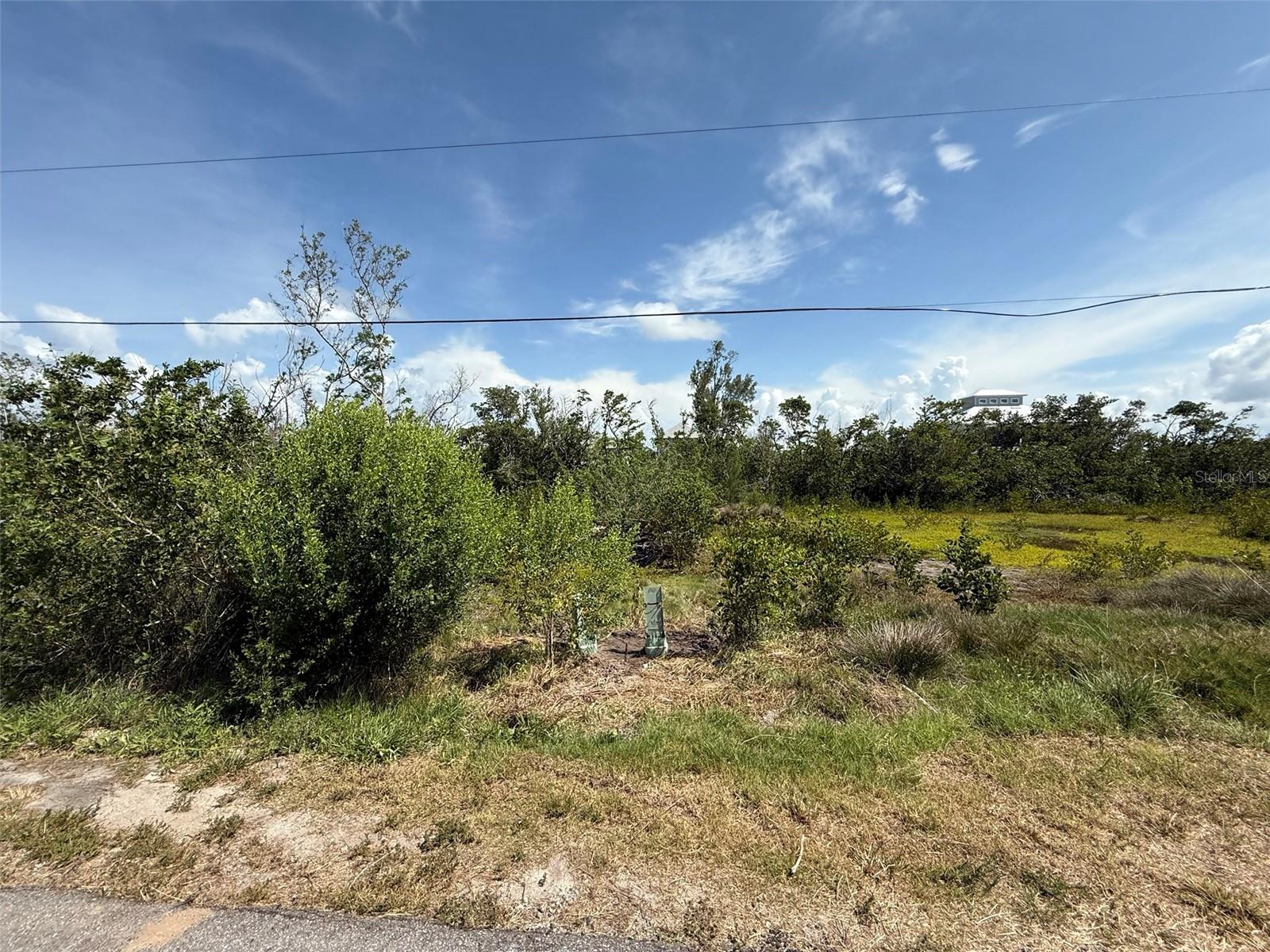 Image 8 of 11 For 24220 Blackbeard Boulevard