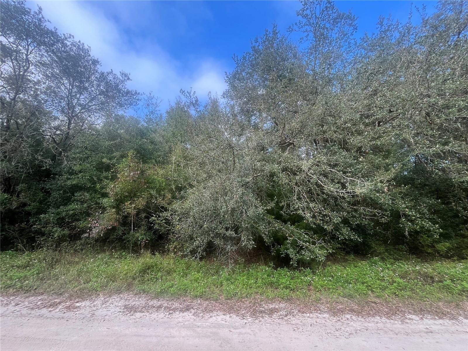 Details for 132nd Avenue, DUNNELLON, FL 34432