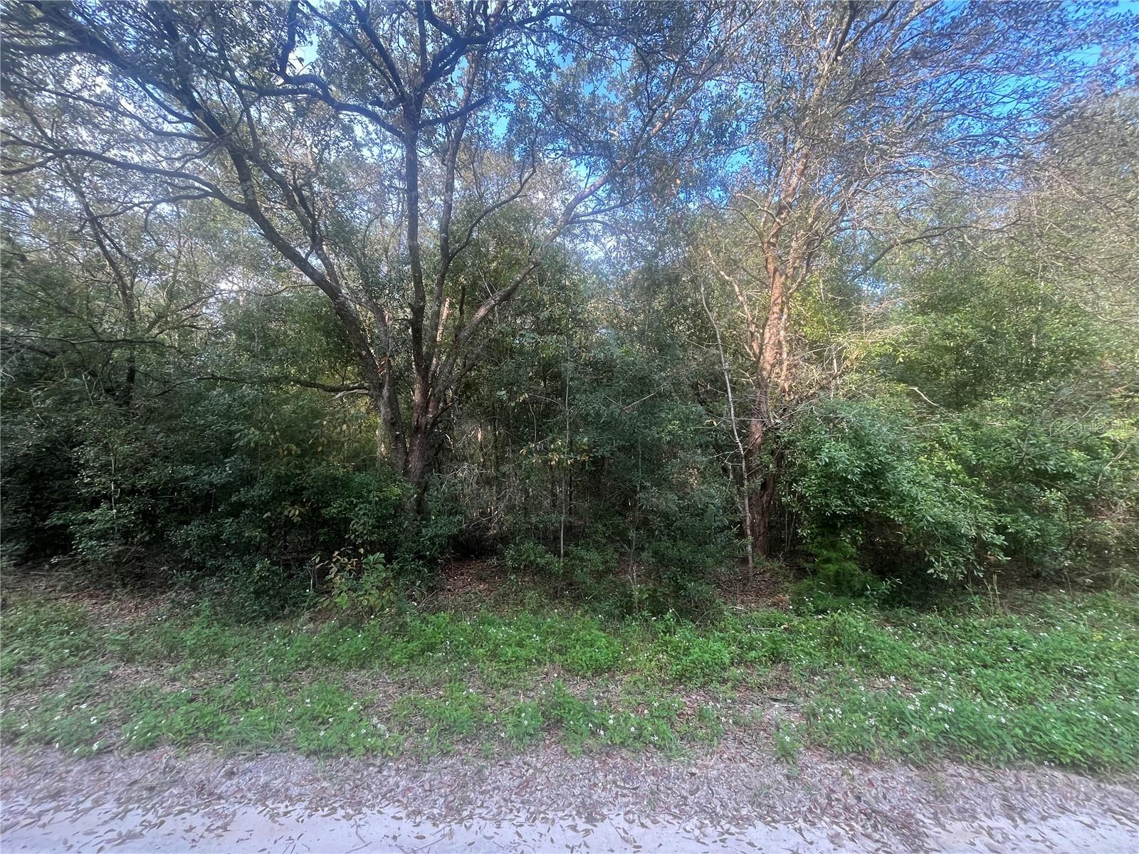 Image 5 of 7 For 132nd Avenue