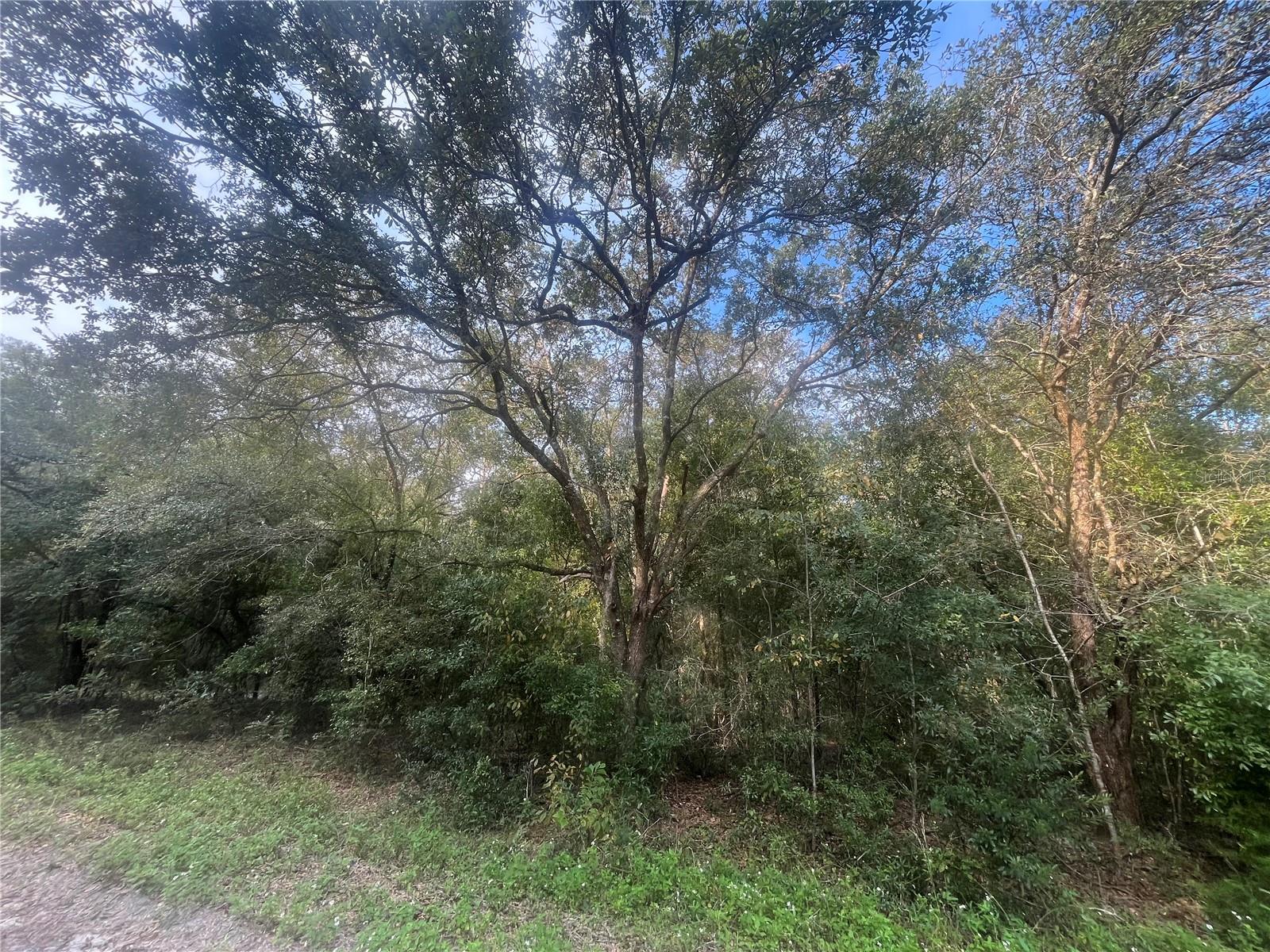 Image 6 of 7 For 132nd Avenue