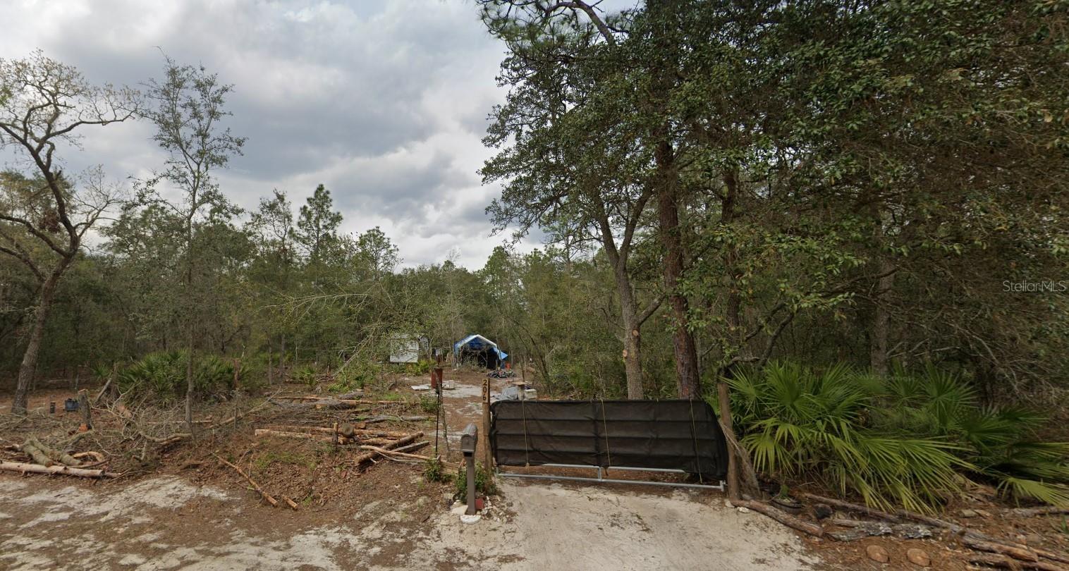 Details for  Hurley  , INTERLACHEN, FL 32148
