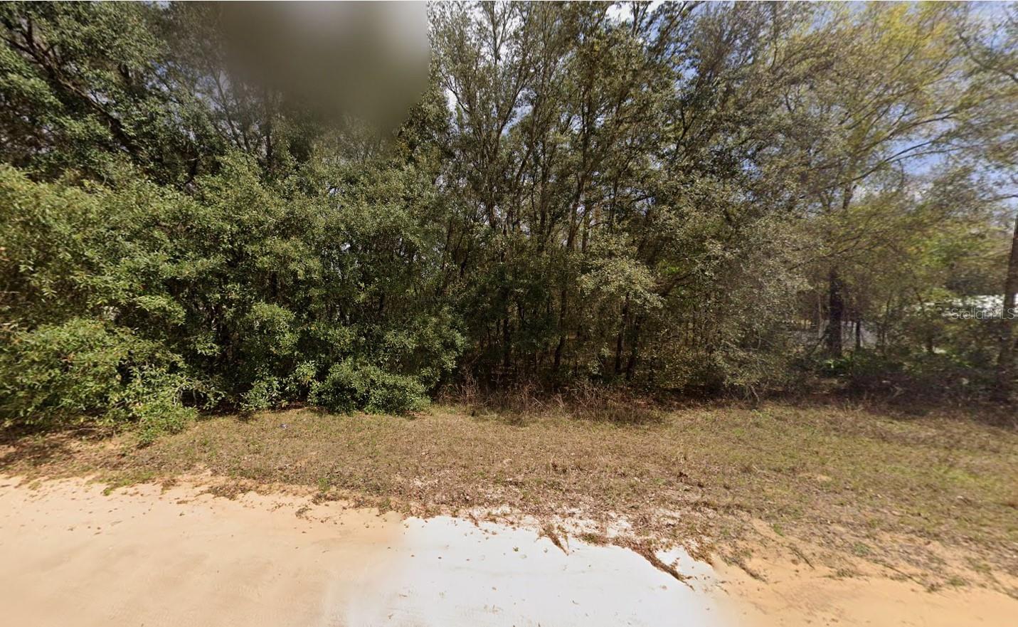 Details for 604 Kitty  , INTERLACHEN, FL 32148
